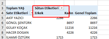 Hücreleri etiketlerle birleştir ve ortala