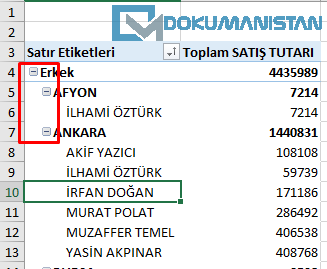 PivotTable Genişlet - Daralt Düğmeleri