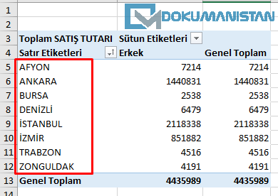 Toplamlar ve Filtreler Sekmesi - Pivot Table Özel Liste Sorunu Çözümü