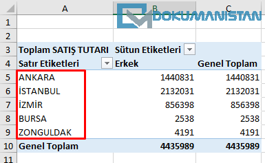 PivotTable Standart Sıralama