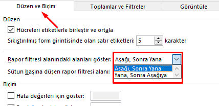 Rapor filtresi alanındaki alanları göster