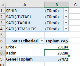 Satır & Sütun başına düşen rapor filtresi alanı-2