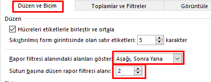 Satır & Sütun başına düşen rapor filtresi alanı-3