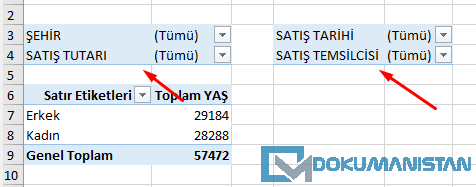 Satır & Sütun başına düşen rapor filtresi alanı-4
