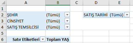 Satır & Sütun başına düşen rapor filtresi alanı-5