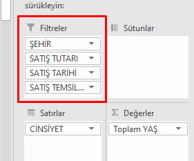 Satır & Sütun başına düşen rapor filtresi alanı
