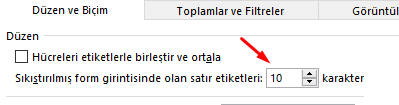 Sıkıştırılmış form girintisinde olan satır etiketleri-2