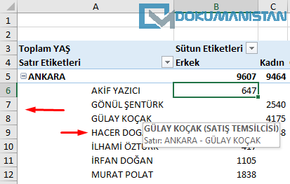 Sıkıştırılmış form girintisinde olan satır etiketleri-3