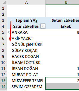 Sıkıştırılmış form girintisinde olan satır etiketleri