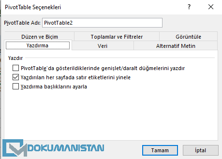 PivotTable Seçenekleri - Yazdırma - Printing