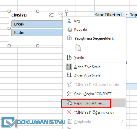 Dilimleyici Rapor Bağlantıları