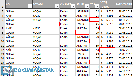Bilinmesi Gereken Veriler içinde boş hücre var mı? Kontrol Edin