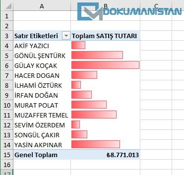 Koşullu Biçimlendirme - Yalnızca Çubuğu Göster Sonucu Tasarım