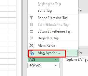 PivotTable Alan Ayarlari