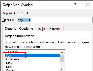 PivotTable Değer Alan Ayarları Değer Alanı Özetle Say Gösterim İpuçları