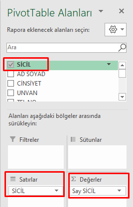 PivotTable Değerler Say Gösterim İpuçları