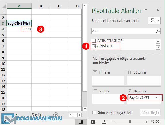 PibotTable Kaynak Verileri Say Gösterim İpuçları