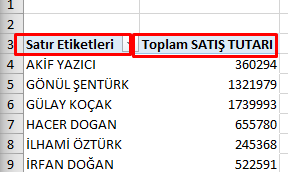 PivotTable Standart Başıklar
