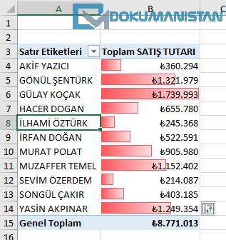 PivotTable Veri Çubukları Ekle