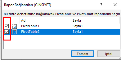 Dilimleyici Rapor Bağlantıları Menüsü
