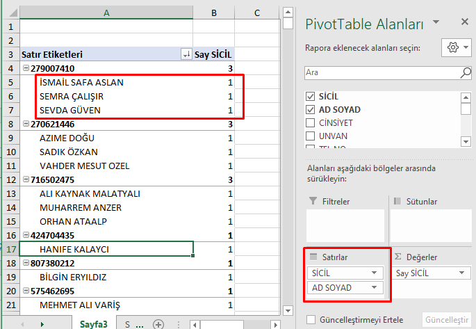 PivotTable'da Mükerrer Kayıtları (Çift Kayıtları) Öğrenme Çözümü Gösterim İpuçları