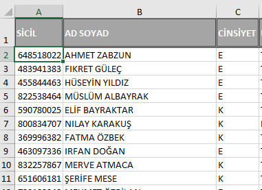 Tablodaki Mükerrer Kayıtları Öğrenme Gösterim İpuçları