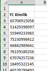 Örnek TCKİMLİK Listesi