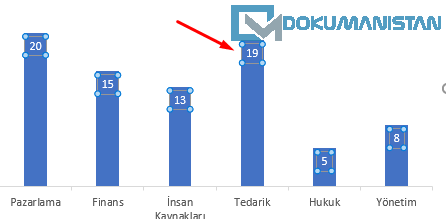 Grafik Veri Etiketleri İç Son