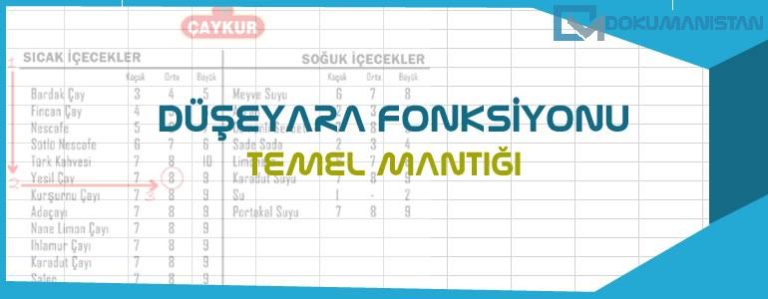 DÜŞEYARA Fonksiyonu Temel Bilgisi