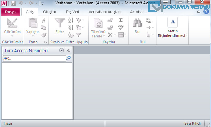 Access Arayüzü