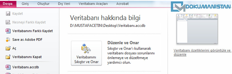 Access Dosya Sekmesi