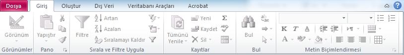 Access Giriş Sekmesi