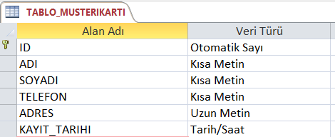 Tablo Kayıt Tarihi Alanı