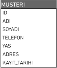 Access Tablo Verileri
