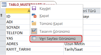Tablo Veri Sayfası Görünümüne Geçme