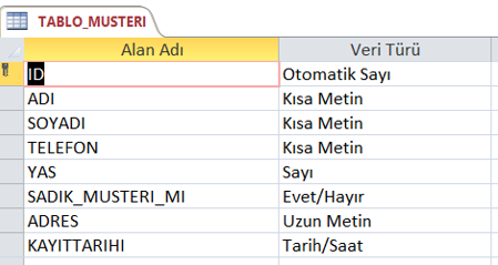 Tablo Müşteri Alanları ve Veri Tipleri