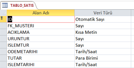 Tablo Satış Alanları ve Veri Tipleri