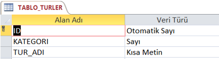 Tablo Türler Alanları ve Veri Tipleri