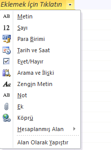 Access Tablo Veri Tipleri