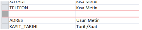 Access Tablo Alan Ekleme