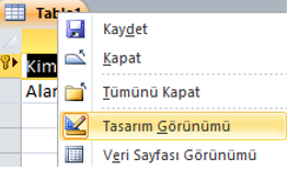 Access Tablo Tasarım Görünümü