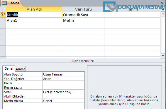 Access Tablo Tasarım Görünümü