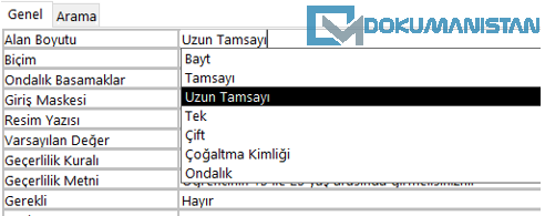 Sayfa Özellikleri Alan Boyutu