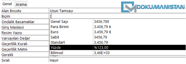 Tablo Sayı Biçimi