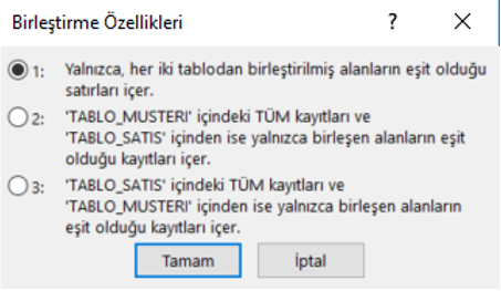 Access Birleştirme Özellikleri