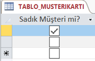 Evet Hayır