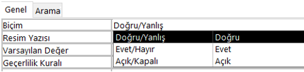 Biçim Doğru Yanlış
