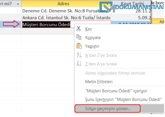 Tablo Sütun Geçmişini Göster