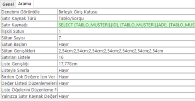Access Arama Sihirbazı İle Tablodaki Satır Kaynağı Sorgusu