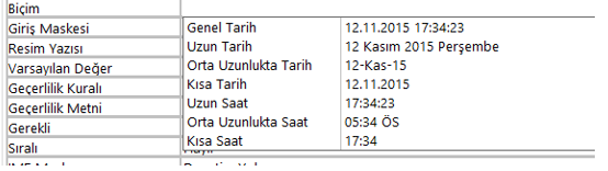 Tablo Tarih Biçimi